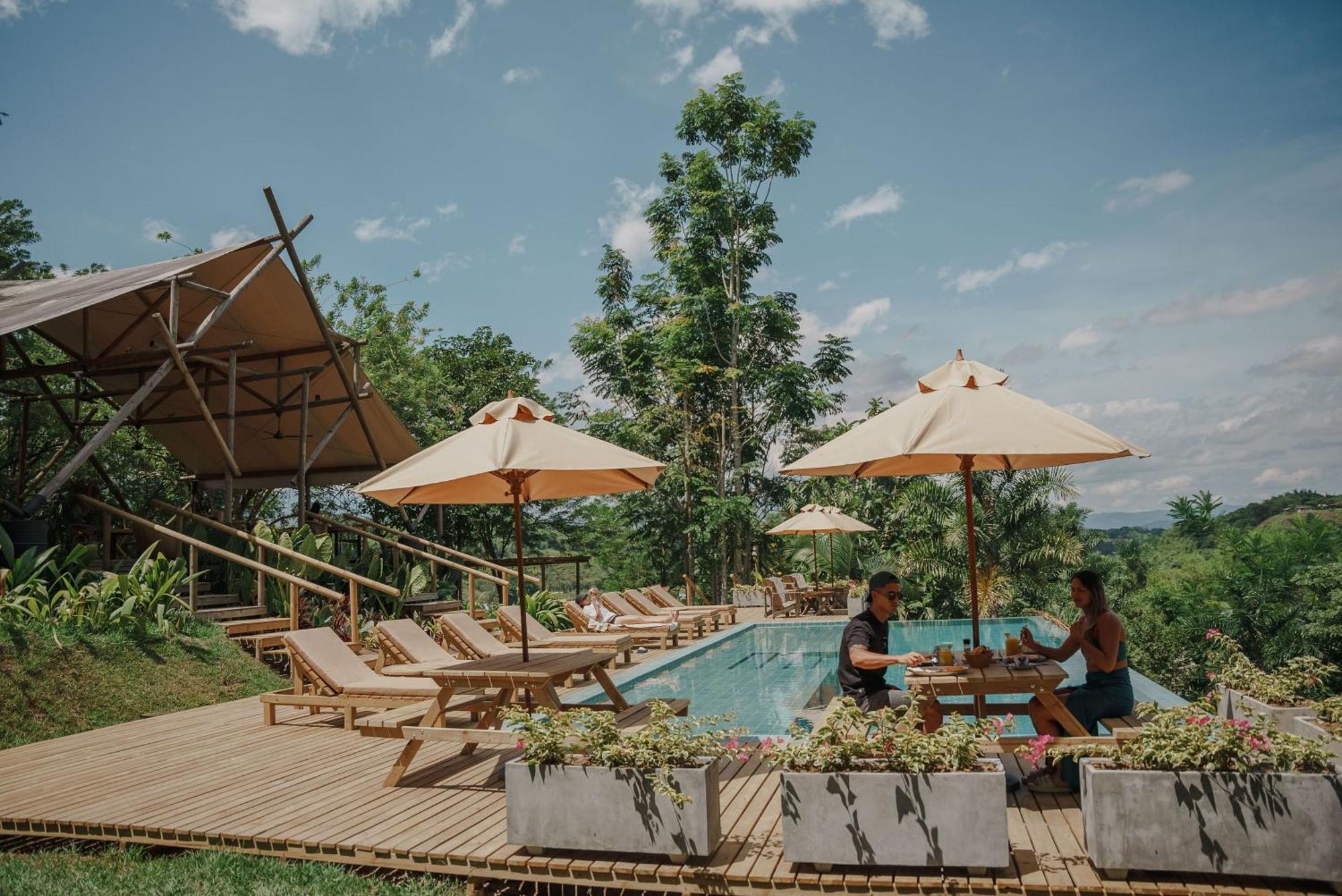 Hotel Glamping Entre Rios Calarcá Zewnętrze zdjęcie