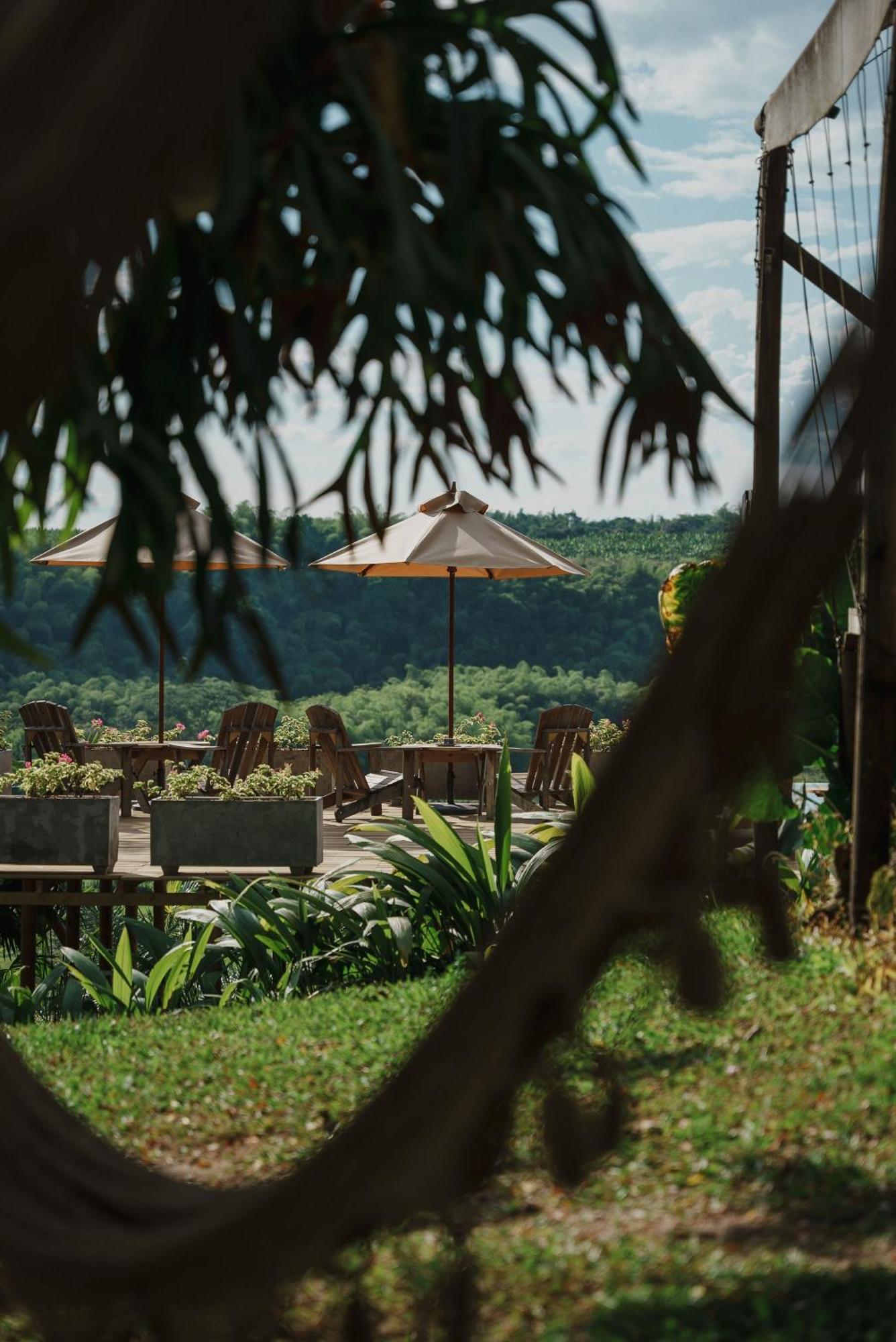 Hotel Glamping Entre Rios Calarcá Zewnętrze zdjęcie