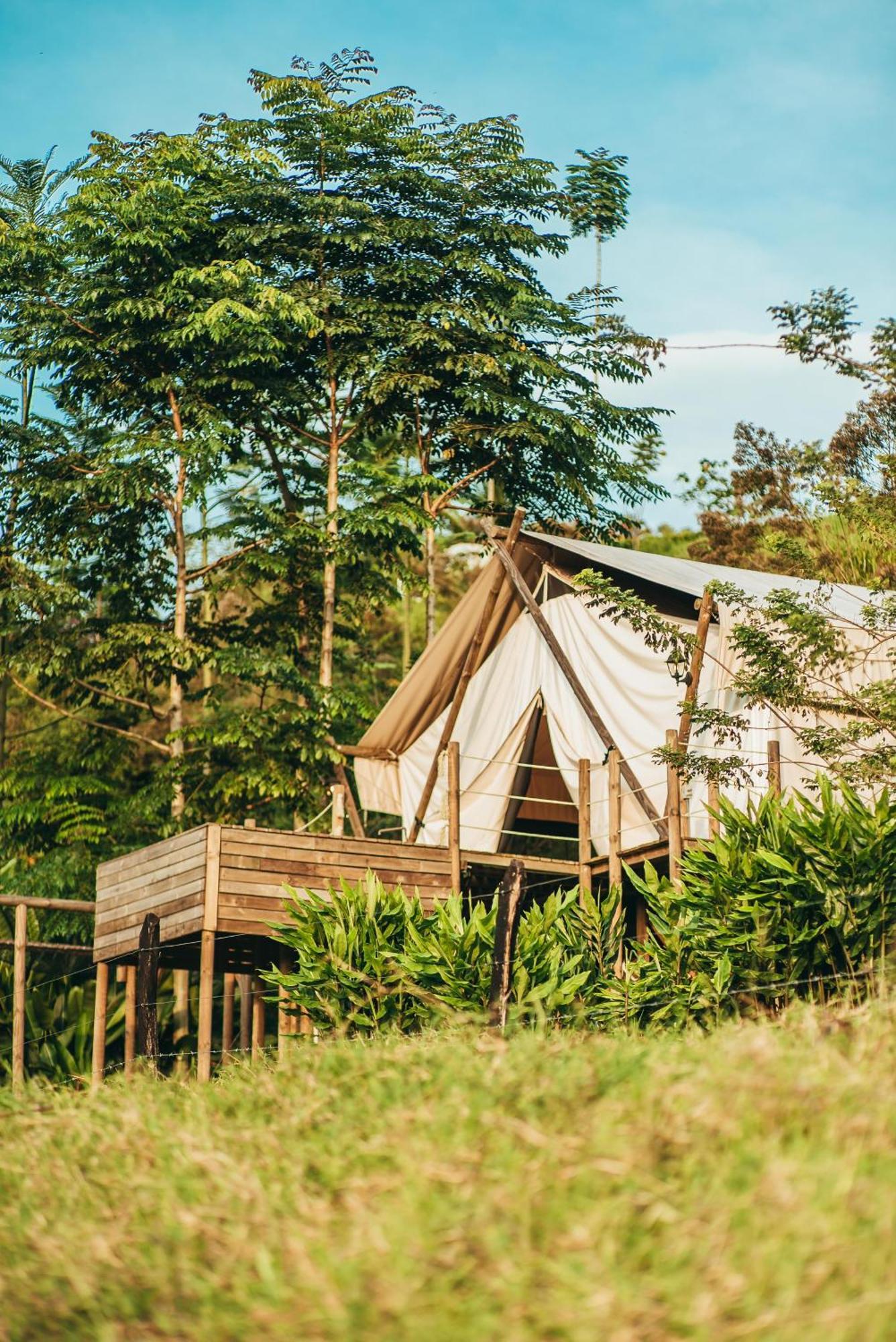 Hotel Glamping Entre Rios Calarcá Zewnętrze zdjęcie